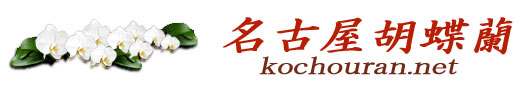 名古屋胡蝶蘭 名古屋胡蝶蘭